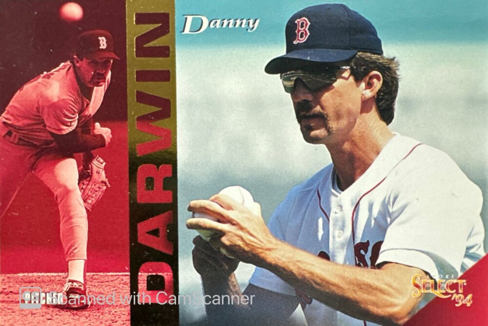 1994 Score Select Danny Darwin Baseball Card #110