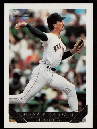 1993 Topps Danny Darwin Baseball Card #214